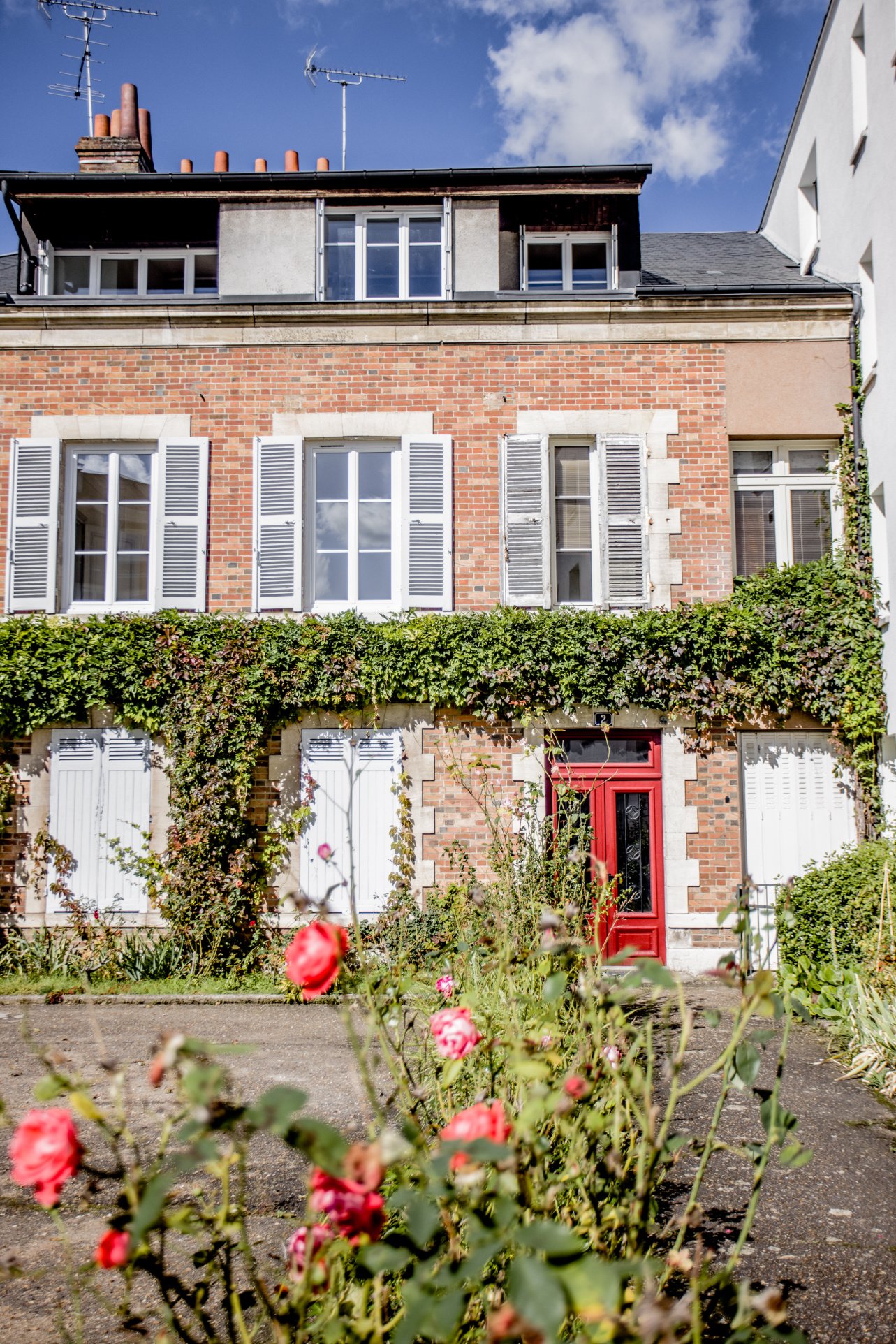 photo_56cfbd0e56cc448a79b220589a858e8a