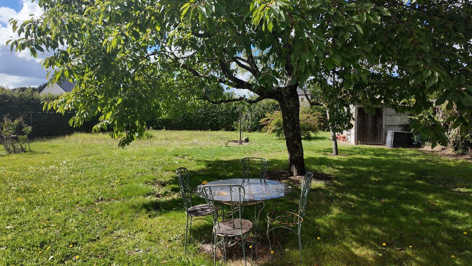 photo_5c7673123c82ad7889b86cde9766c7a0