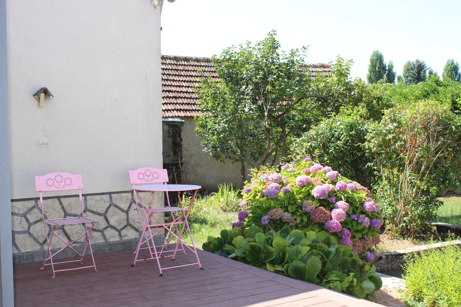 photo_6ca8003b1bed2f82b296d706d75c5bf2