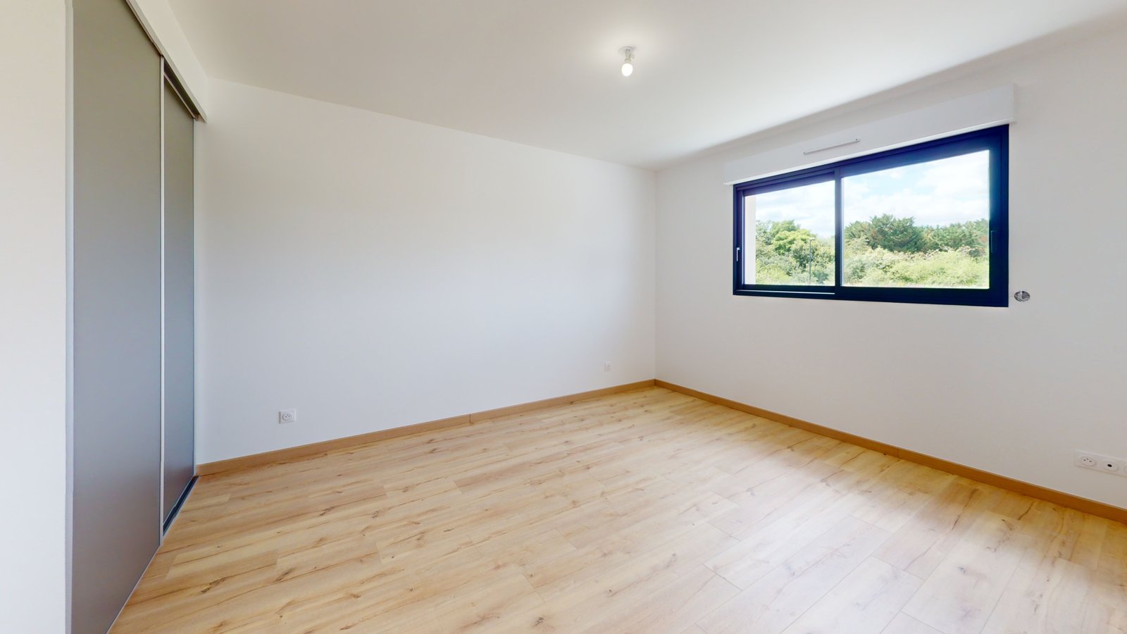 photo_df71a580922627e62c1b2db9fb3876de