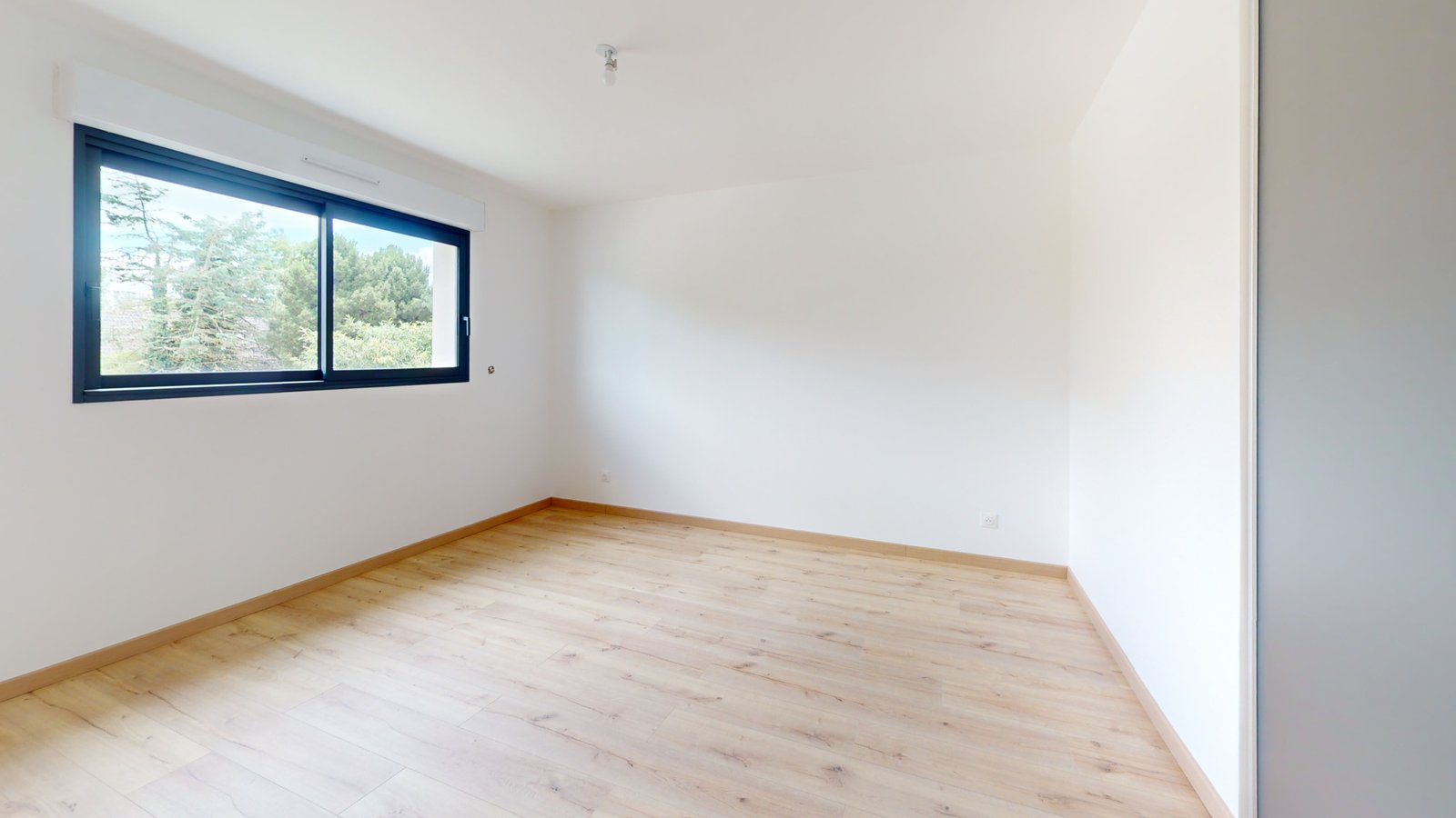 photo_e36b4525abf7bfcad69ee95dfb928559