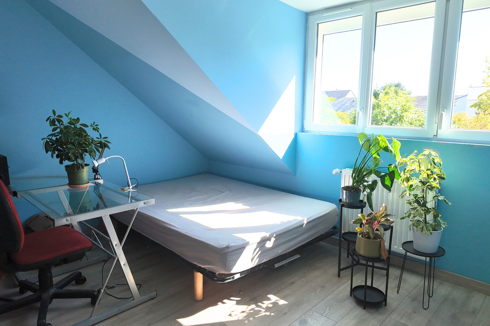 photo_bb1ba576735096f0972521b889261040