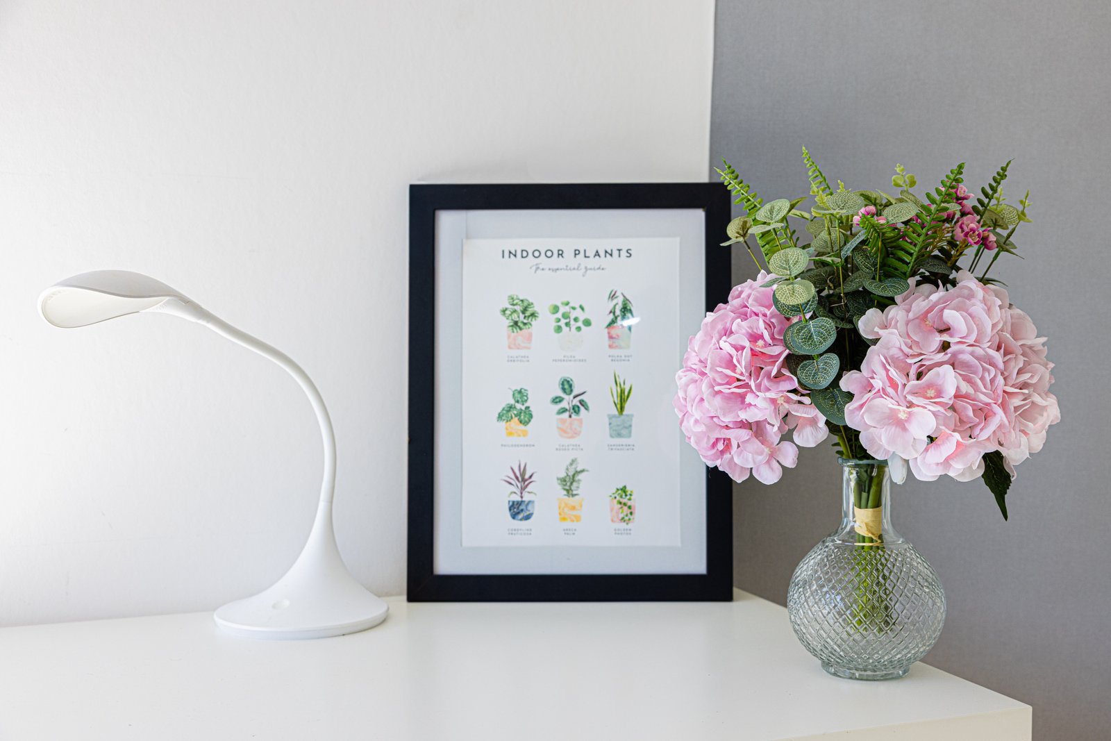 photo_db2c2099264c846d9b447dd3039371cb