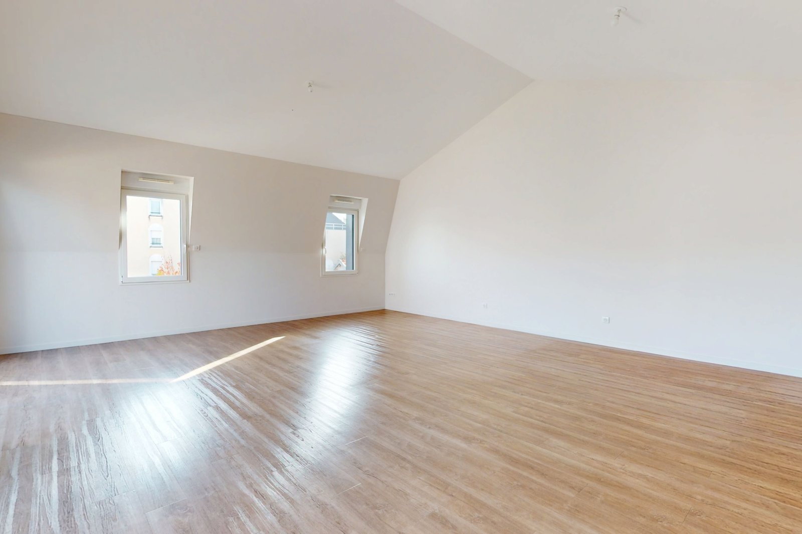 photo_15cb79dc09419258c33c73d0077f9236