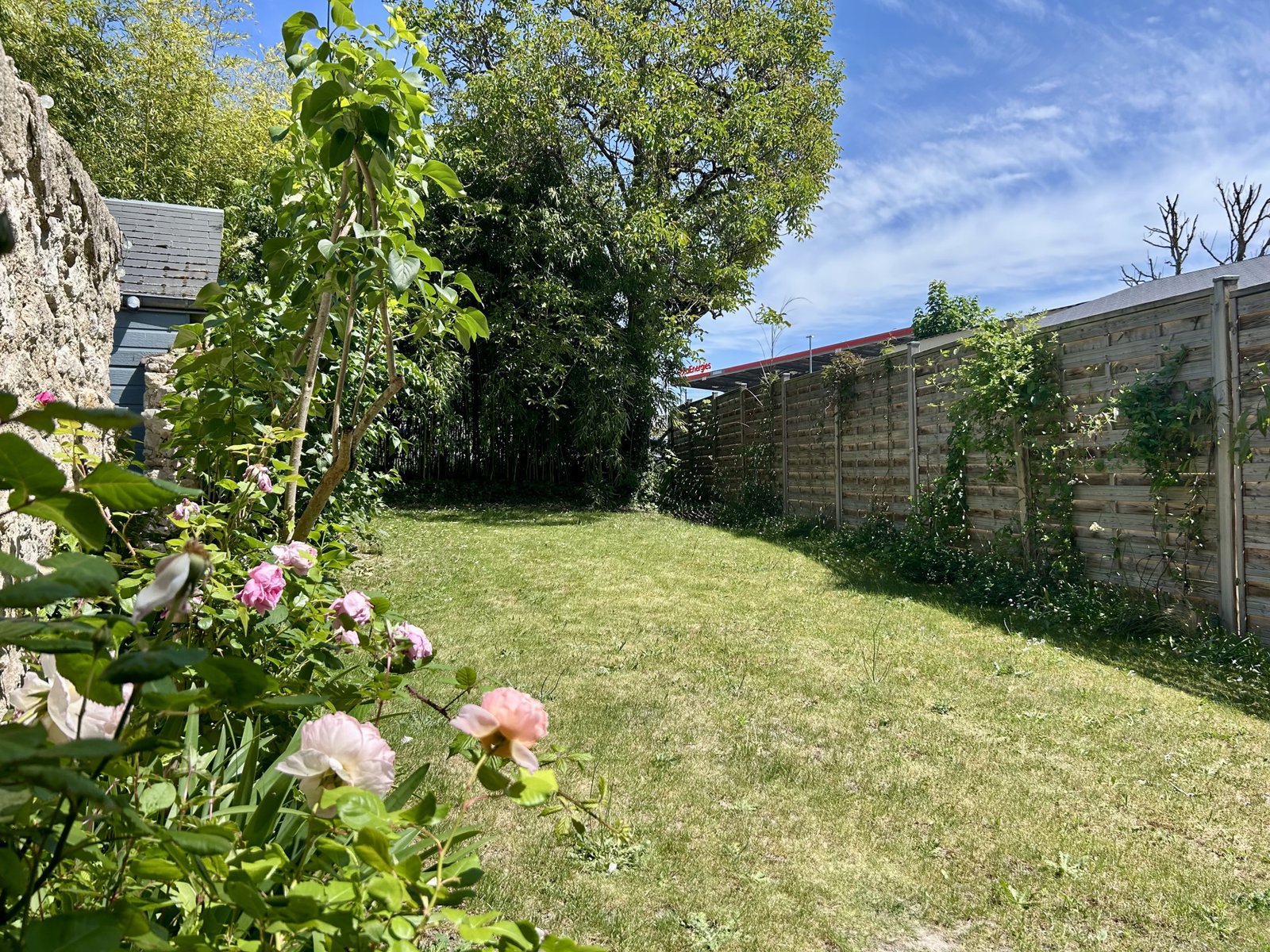 photo_3d9281406ed2b3581818ce798c1bb496