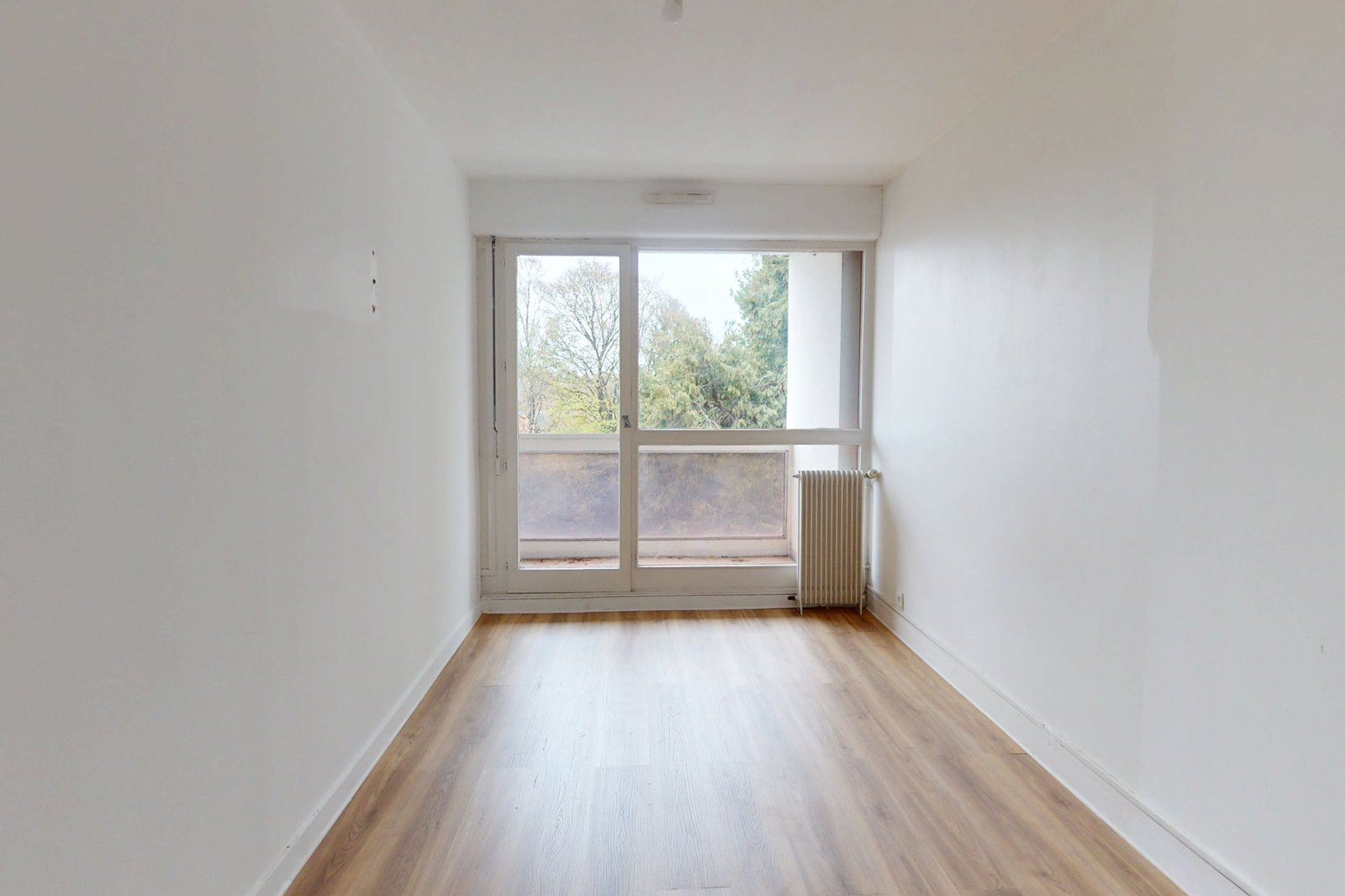 photo_637b5a3f6dfa507660162c0ed251138a