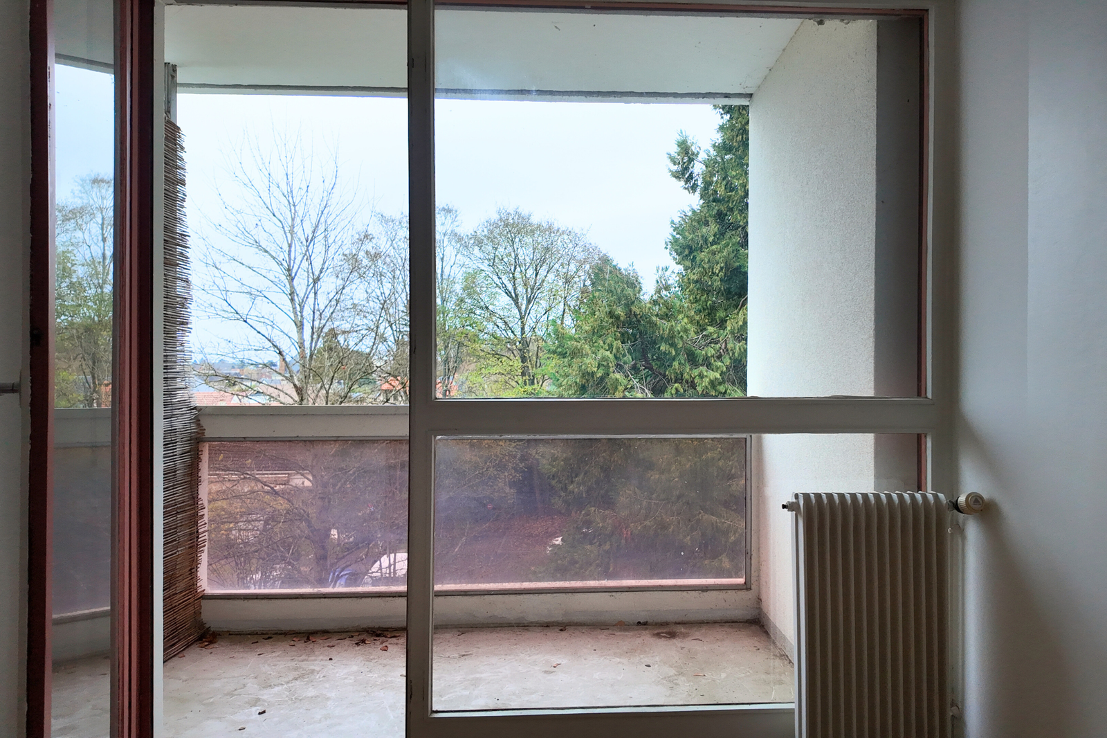 photo_e528d3bf4dfb85db7c88c3b299cb2de1