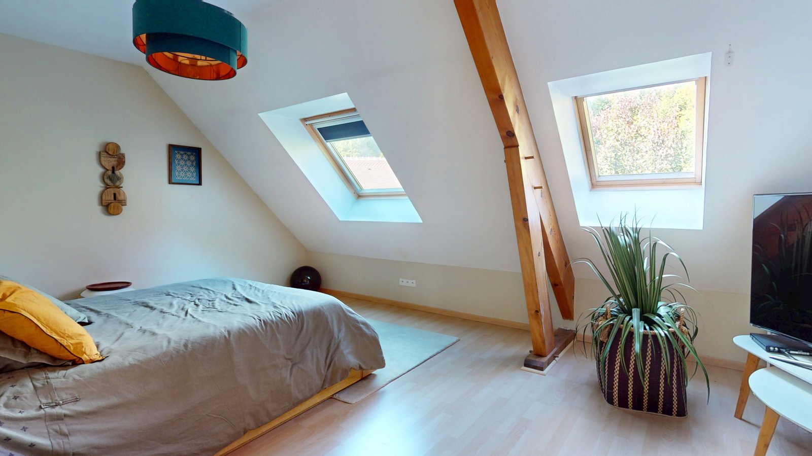 photo_71918b41207bdd7d64a5d10db125027b