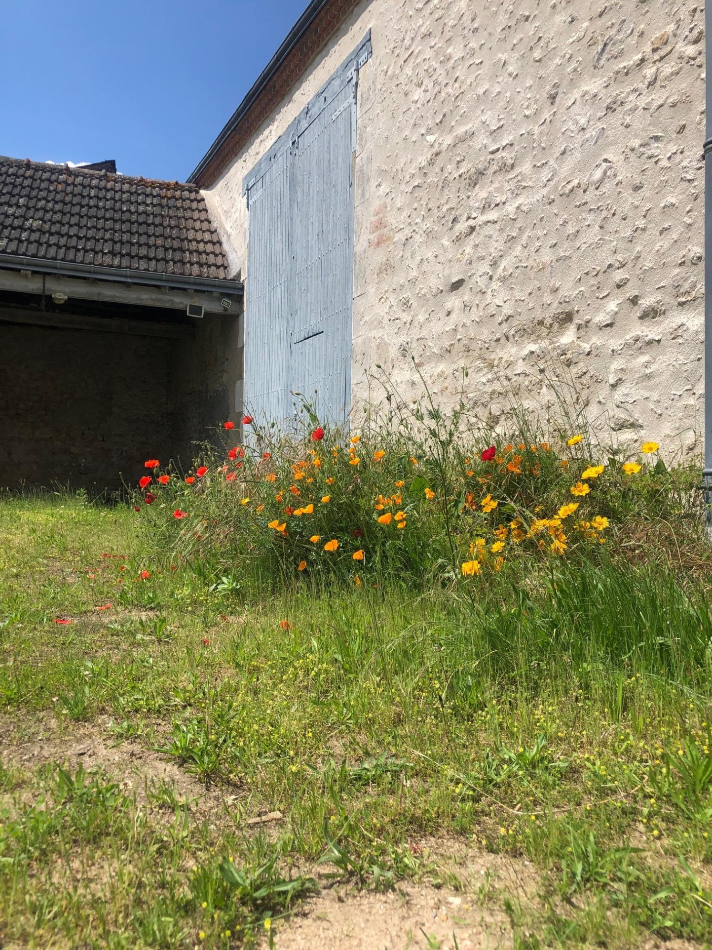 photo_9bffa6d04e5a90eadceb11f415858a73