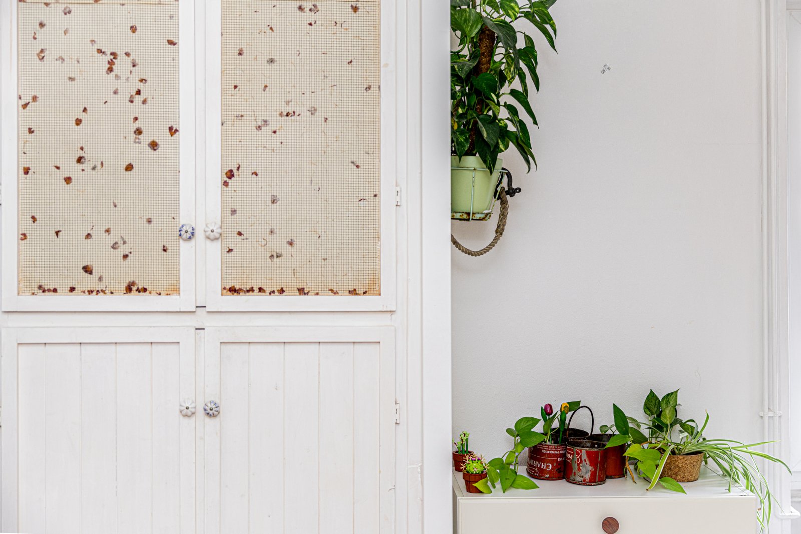 photo_13ab83139ee05110ae1d5aa74da9cd0e