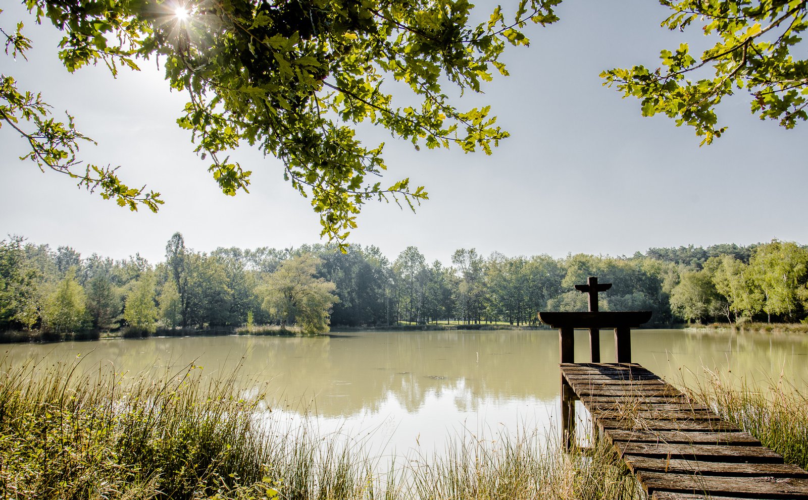 photo_6b49e6d4cb1884adcf365c8f6964786e