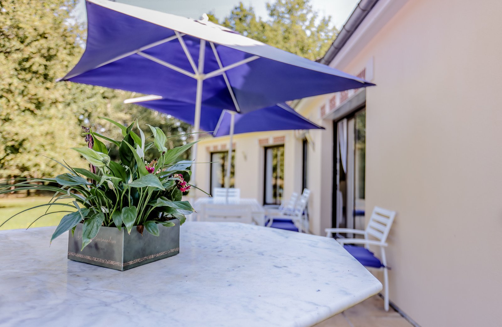 photo_74ceedb13246c21315a5b70f41cb1749