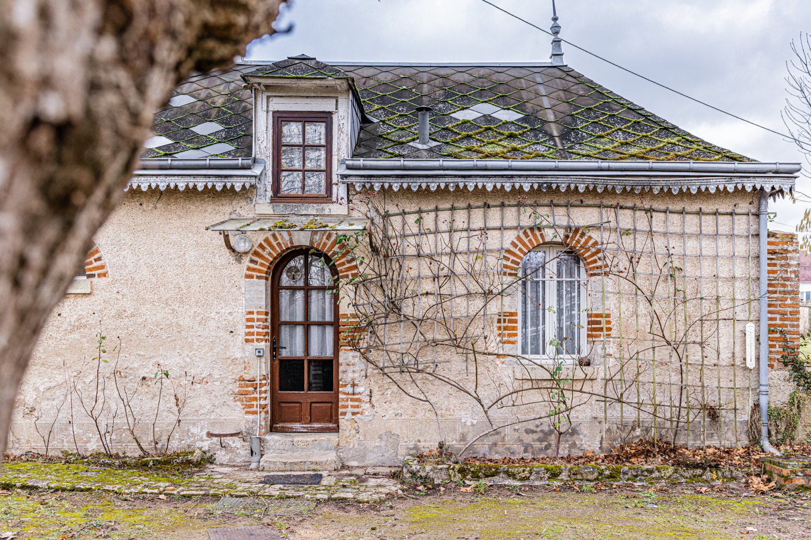 photo_75f947e4baf8a217938e5c25b20815a7