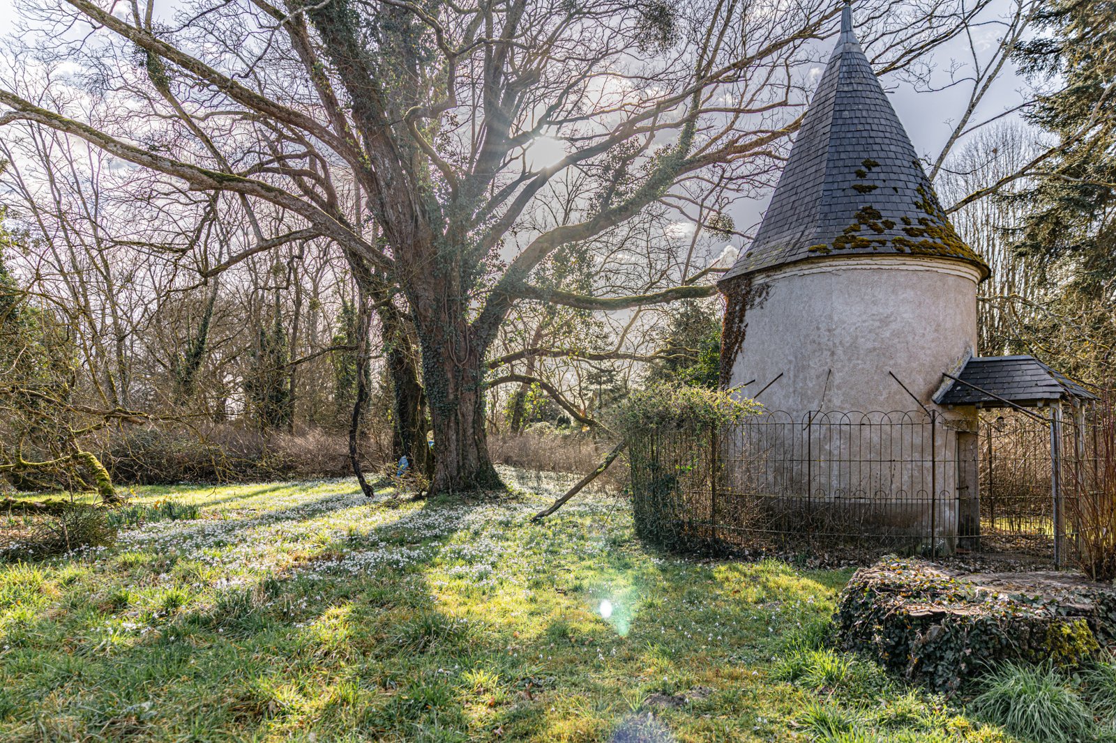 photo_a1f6c91f19bf0b281c45836dbaadd5ee