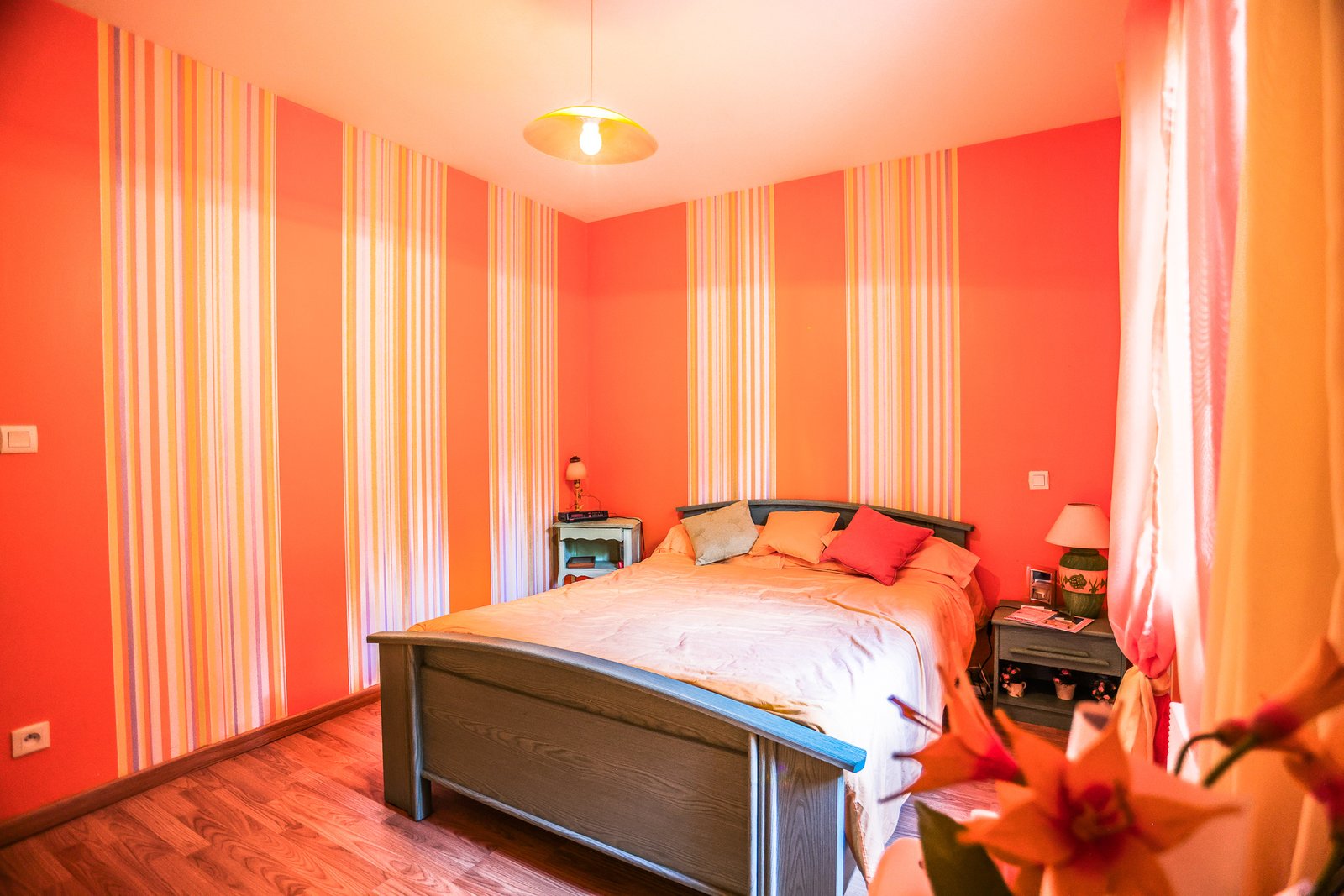 photo_bb0a76ed8e2b8782fc53726224fa3a16