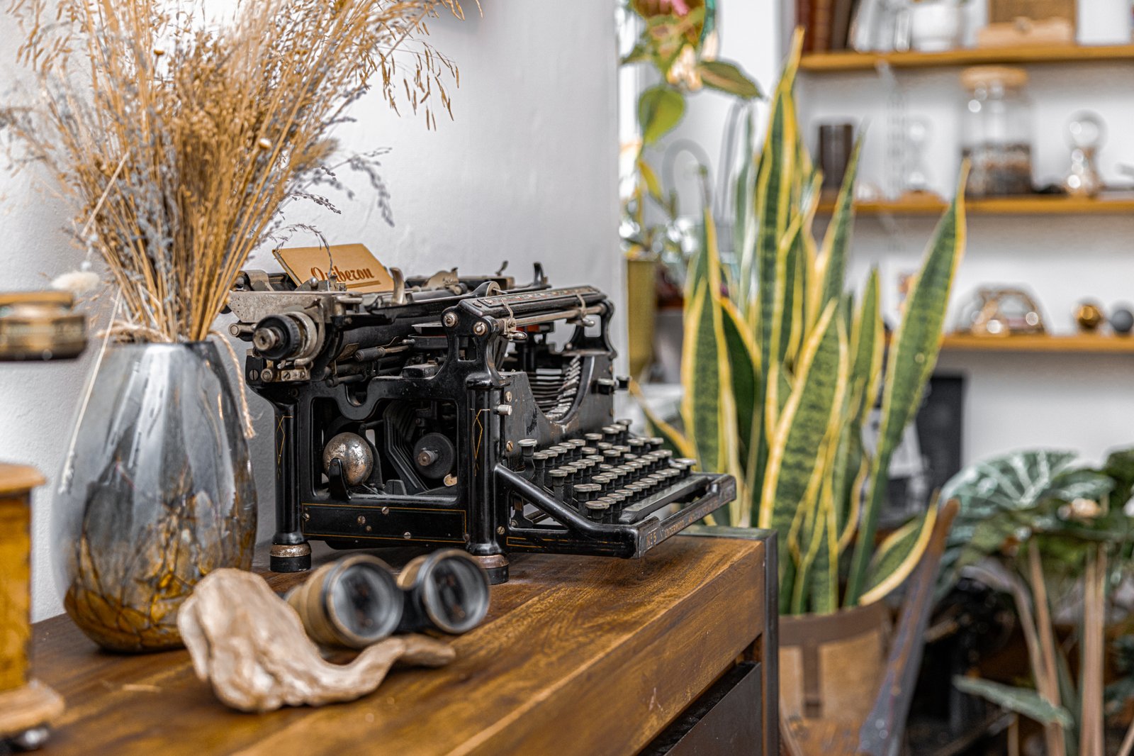 photo_eac7c0e7e613f17f4be128c7b38d5dc3